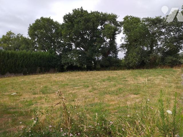 Vente - Terrain - ST AVE - 783 m² - 56005-802