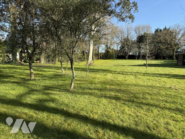 Terrain 3999 m² · à Muzillac · 3 999 m² · 480 000 €