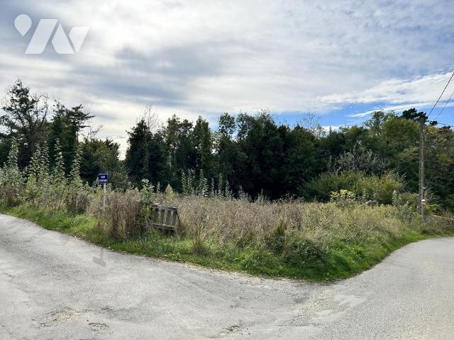 Terrain 1330 m² · à Palais · 1 330 m² · 190 000 €
