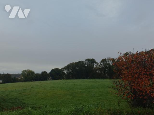 Terrain — Plouay