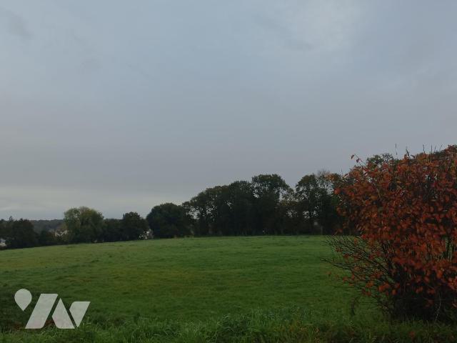 Terrain 256 m² · à Plouay · 256 m² · 55 900 €