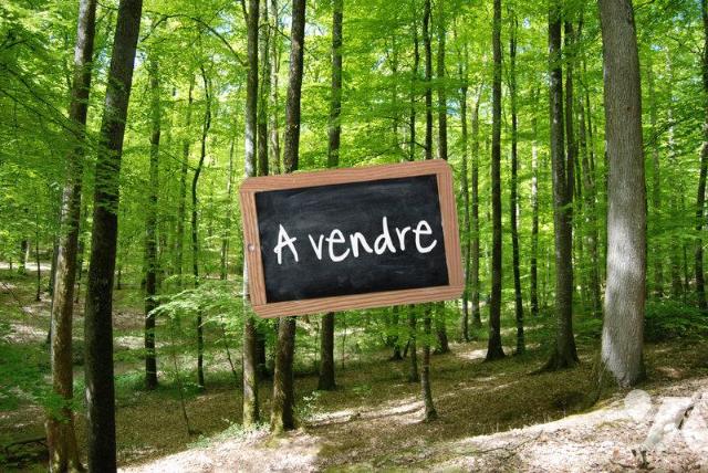 Terrain 108540 m² Maleville · 26 000 €