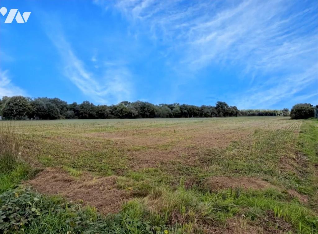 Terrain 571 m² · à Malestroit · 571 m² · 58 000 €