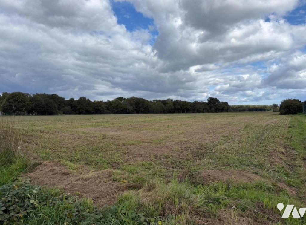 Terrain 554 m² · à Malestroit · 554 m² · 59 000 €