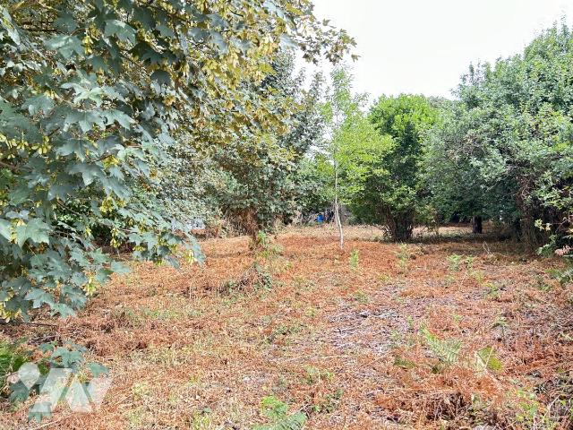 Terrain 700 m² · à Guer · 700 m² · 43 500 €