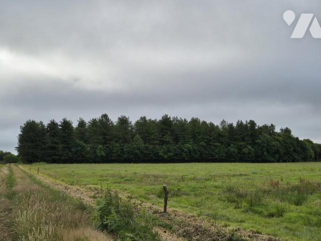 Terrain — Saint-Servant