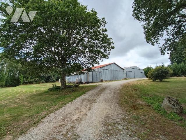 Sale - Miscellaneous premises - MALGUENAC - 910 m² - 56062-2223