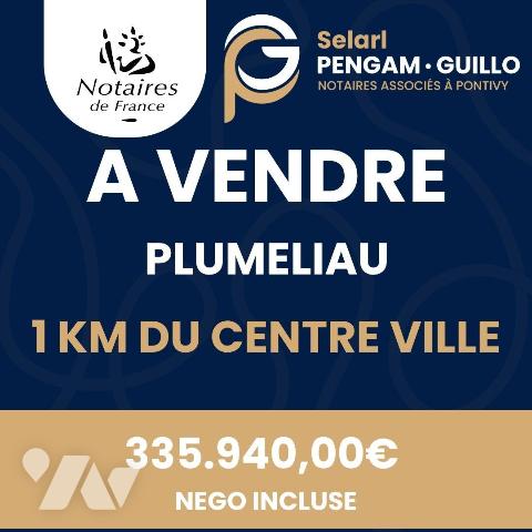Maison 6 pièces 223 m² · à Pluméliau-Bieuzy · 223 m² · 285 000 €