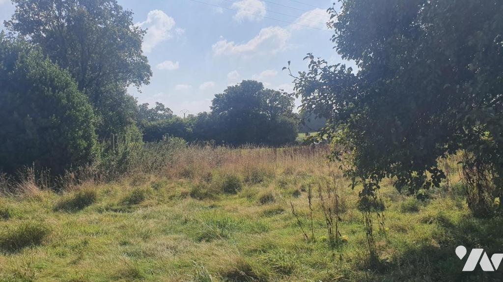 VENTE maison-GLOMEL (22)