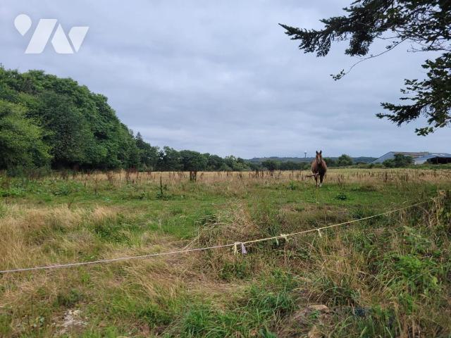 Terrain — Roudouallec