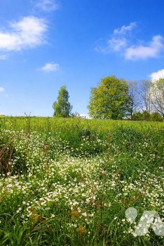 Terrain 910 m² · à Camors · 910 m² · 72 800 €