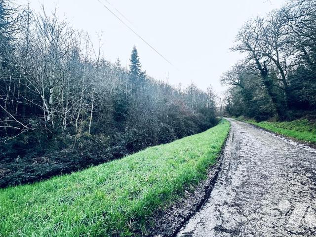 Terrain 131500 m² Arzano · 55 000 €