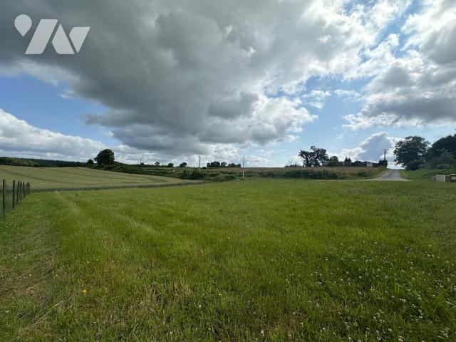 Terrain — Priziac