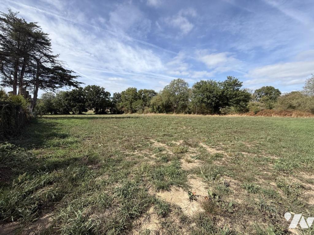 Terrain 14736 m² · à Berric · 14 736 m² · 200 000 €