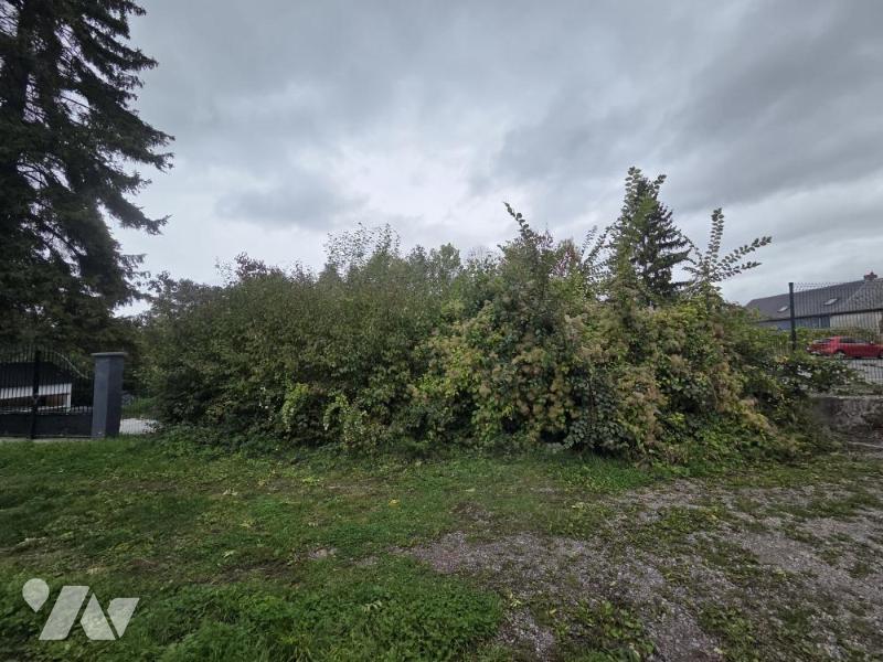 VENTE maison-ST REMY DU NORD (59)