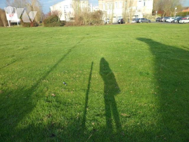 Vente - Terrain - ECAILLON - 732 m² - 59104-1556