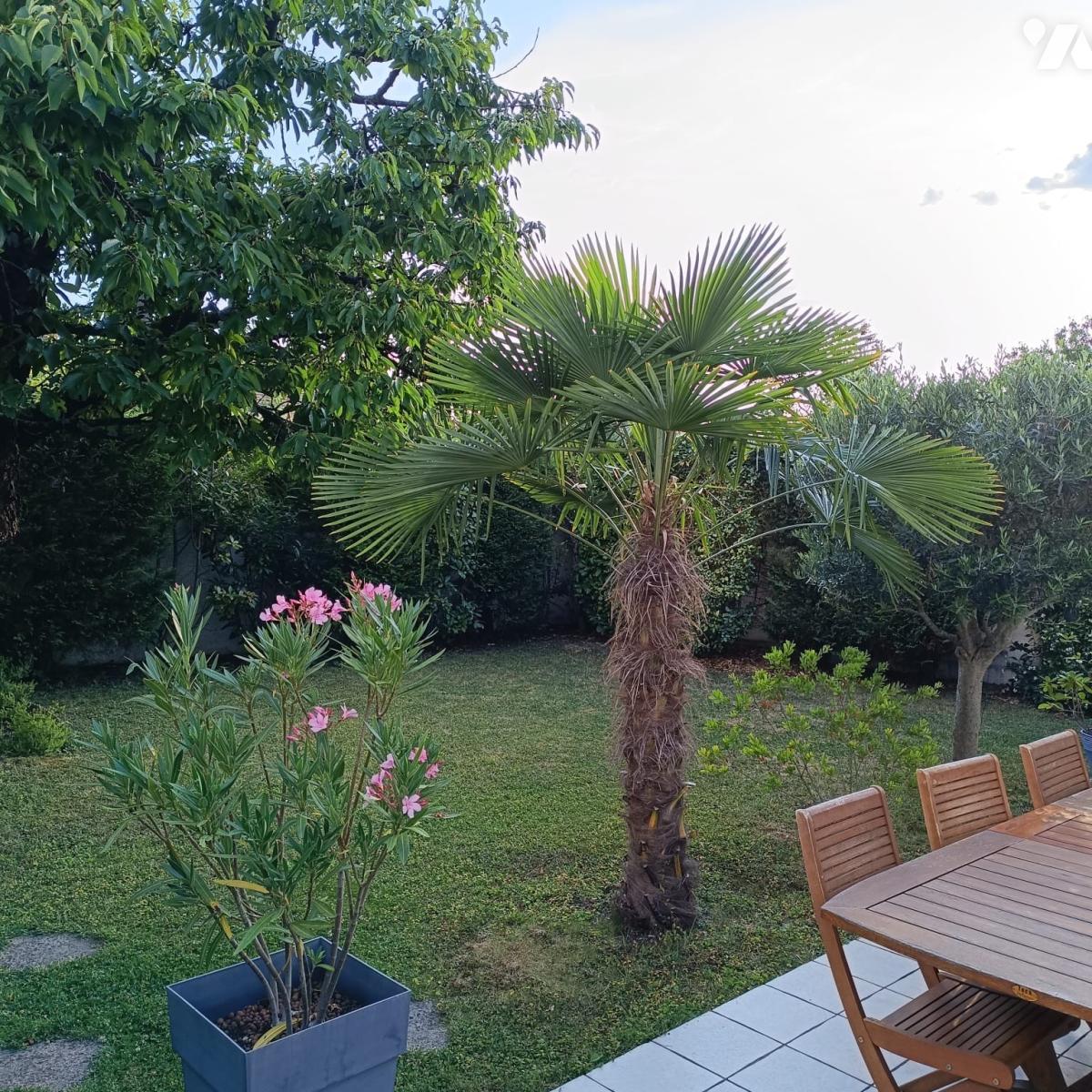 VENTE maison-MITRY MORY (77)