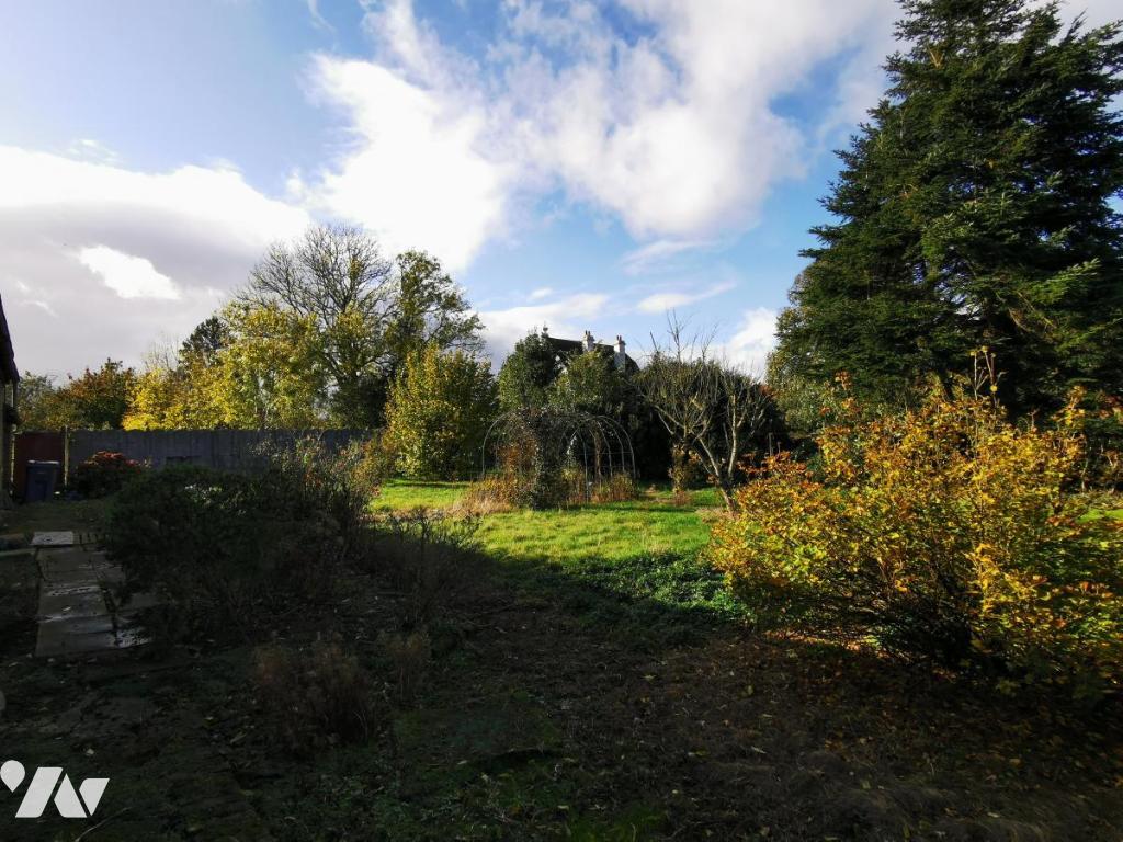 VENTE maison-BUISSY (62)