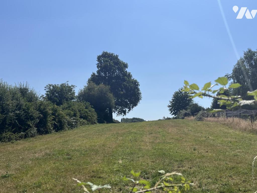 Terrain — Burbure