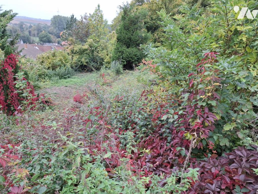 VENTE maison-CAMBLAIN CHATELAIN (62)