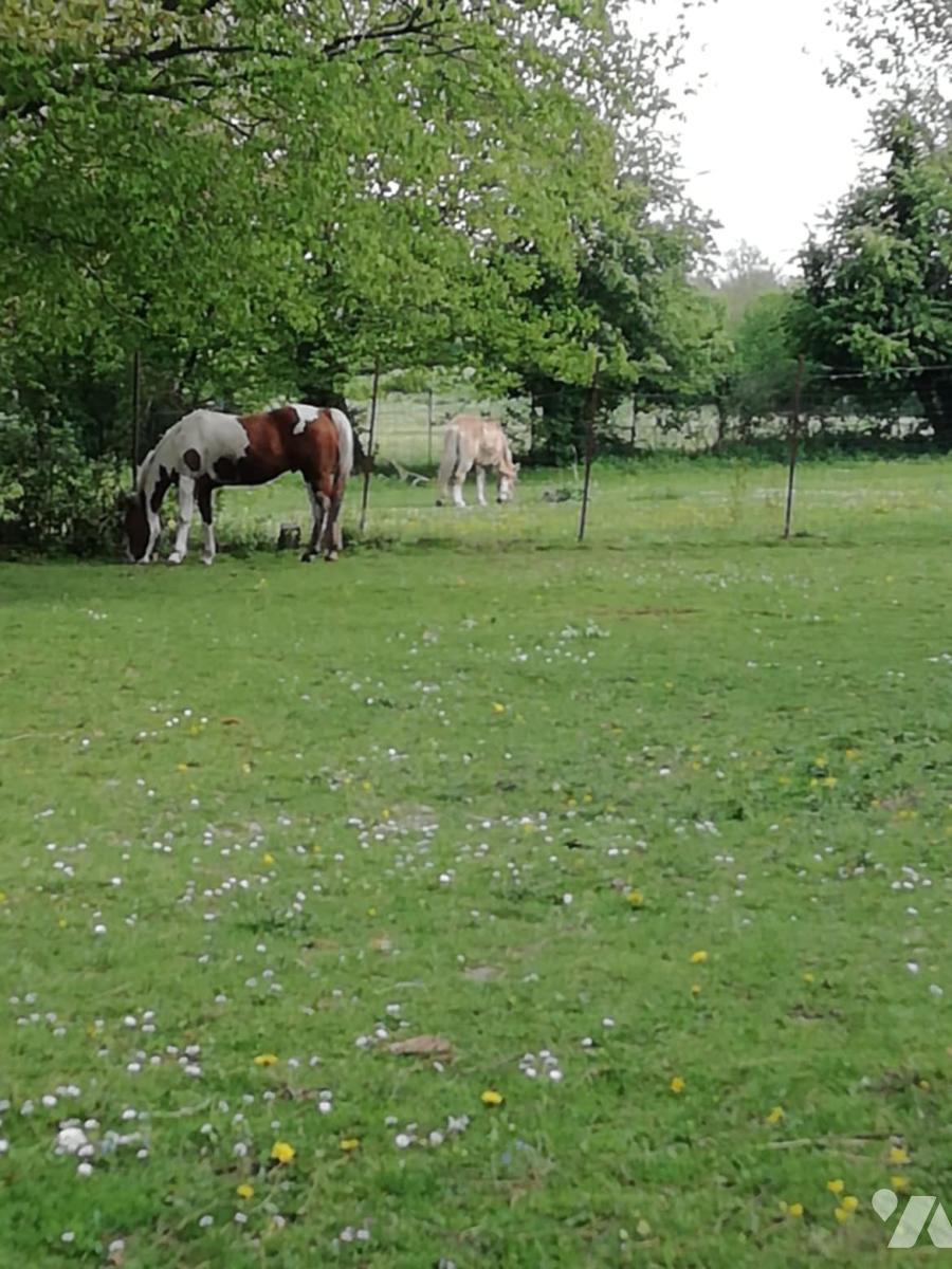 VENTE maison-AUMERVAL (62)