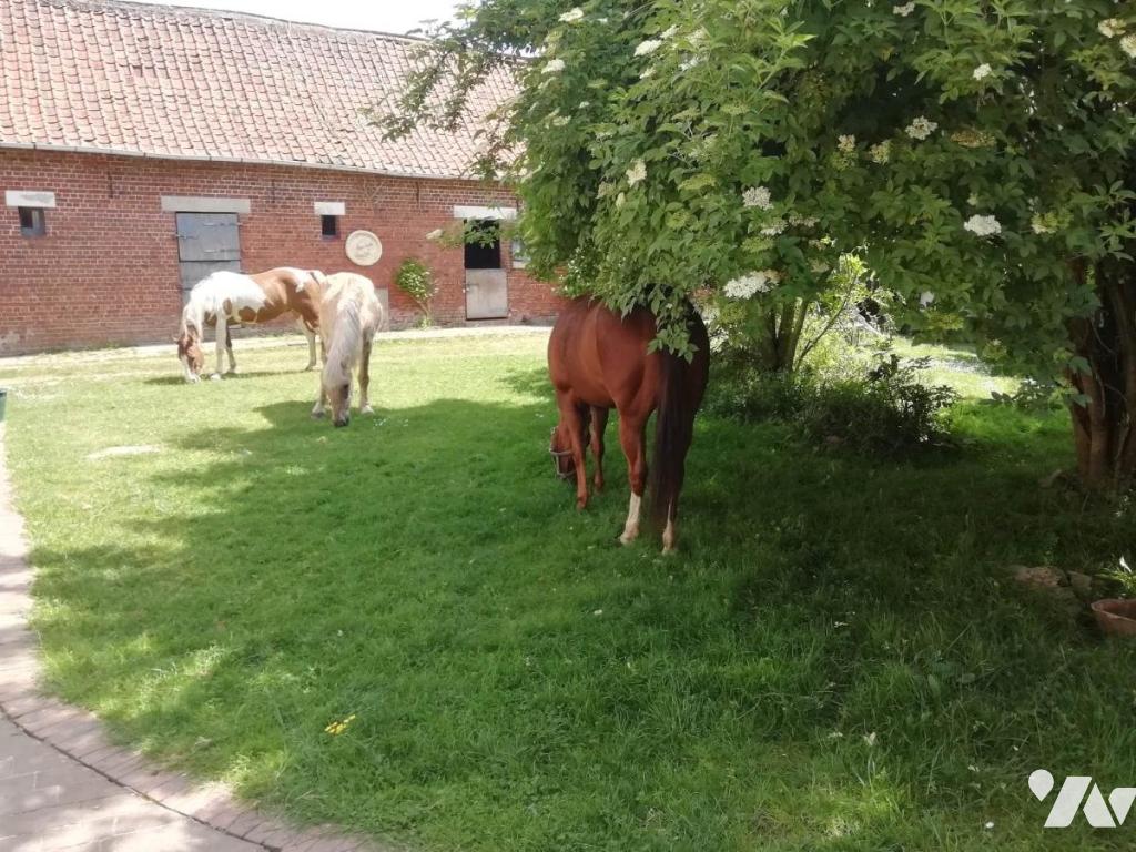 VENTE maison-AUMERVAL (62)