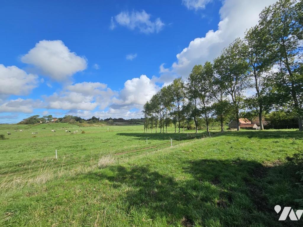 Maison 6 pièces 330 m² · à Beuvrequen · 330 m² · 1 200 000 €