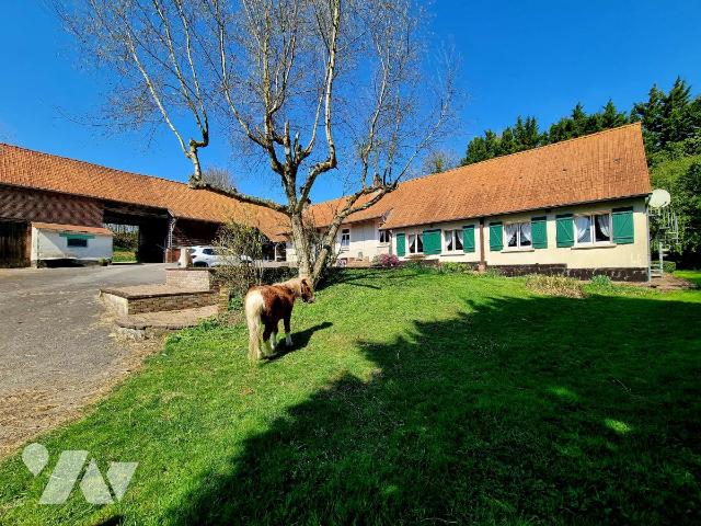 Vente - Maison / villa - COUPELLE VIEILLE - 187 m² - 8 pièces - 62081-215
