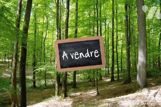 Vente - Terrain - RIMBOVAL - 1 390 m² - 62081-230