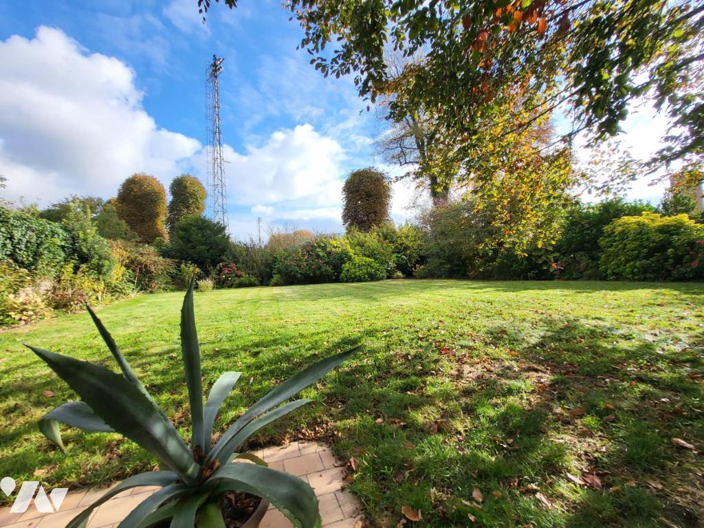 VENTE maison-ST OMER (62)