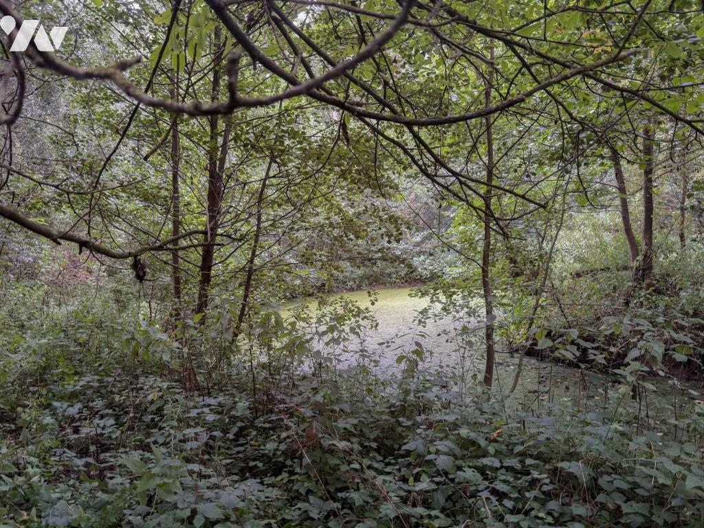 Terrain — Mametz