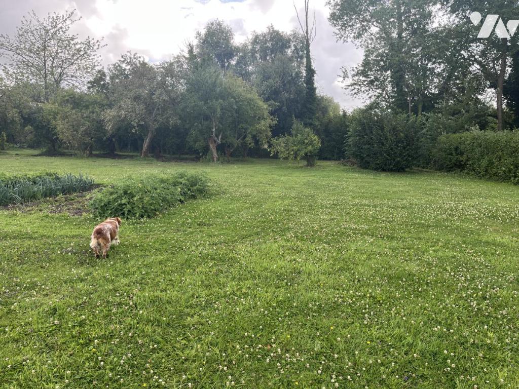 VENTE terrain-BREMES (62)