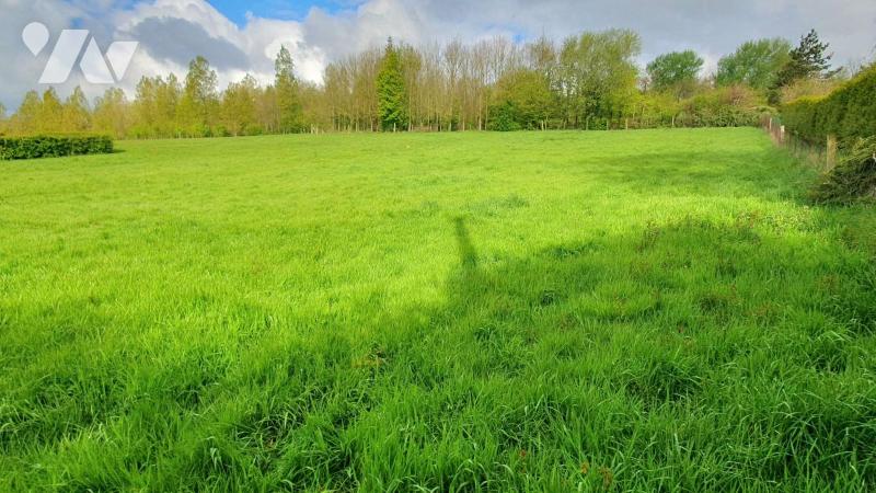 VENTE terrain-CLETY (62)