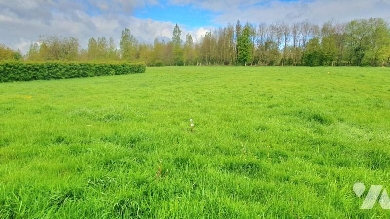 VENTE terrain-CLETY (62)