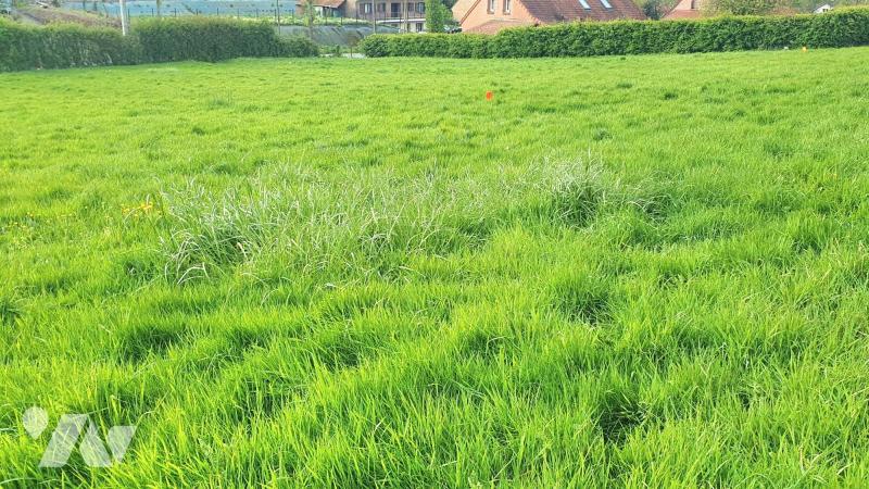 VENTE terrain-CLETY (62)