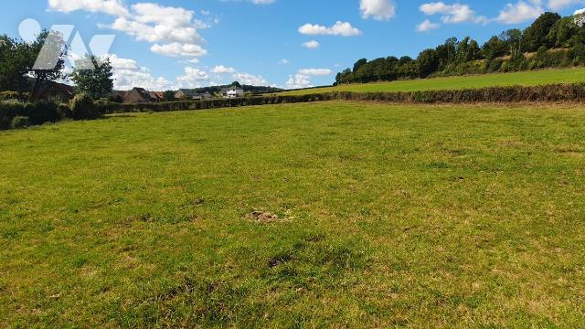 Vente - Terrain - COULOMBY - 1 976 m² - 62102-1618