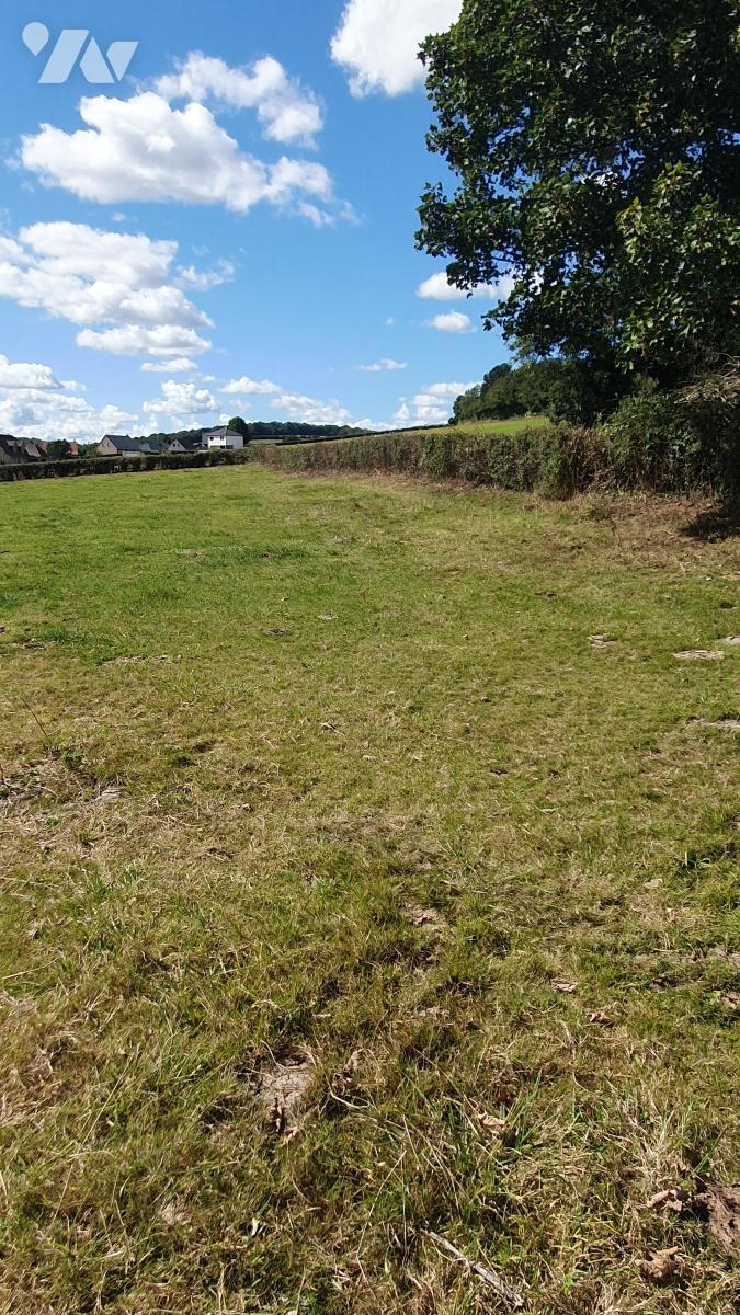 VENTE terrain-COULOMBY (62)