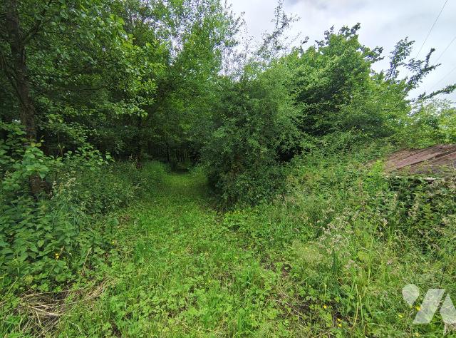 Vente - Terrain - LOTTINGHEN - 3 610 m² - 62107-1202