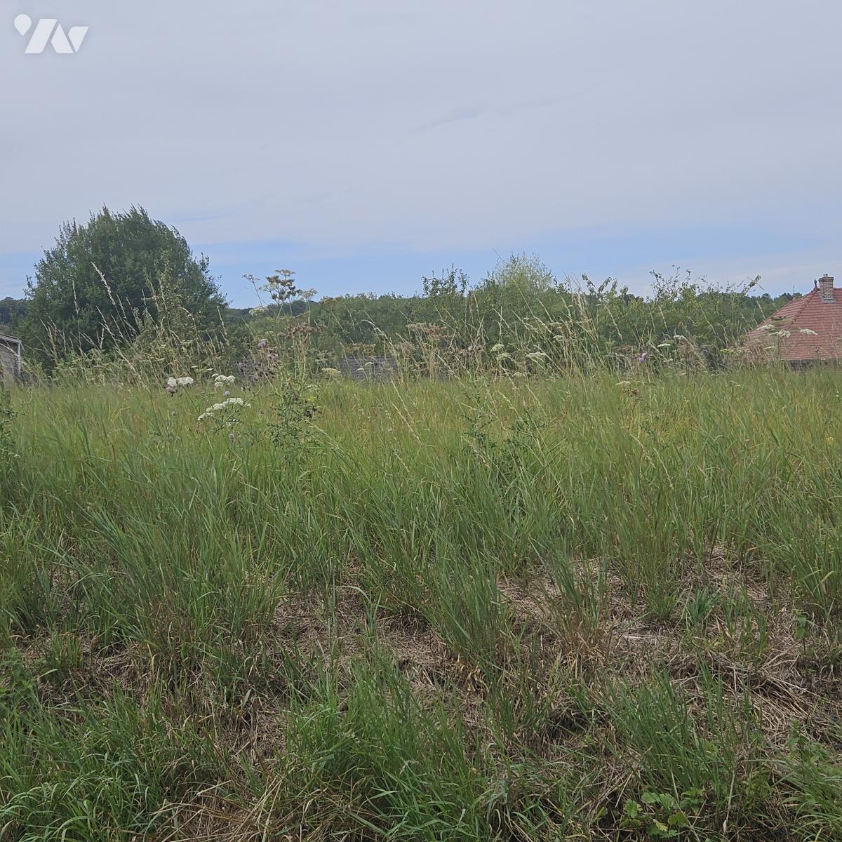 Terrain 1309 m² · à Rebreuviette · 1 309 m² · 22 000 €