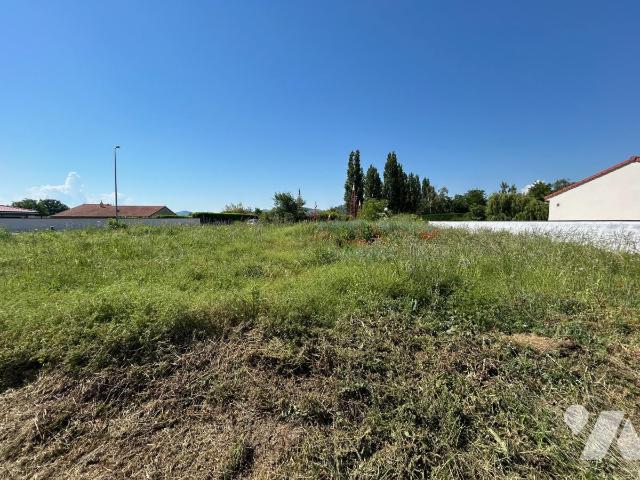 TER 875m²