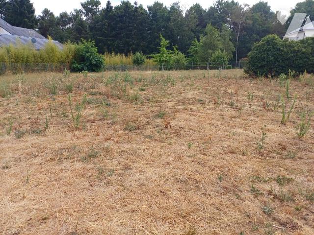 Terrain 1148 m² · à Changé · 1 148 m² · 162 700 €