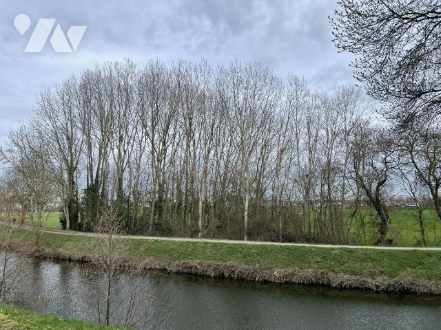 Sale - Land - LE MANS - 1,280 m² - 72126-2902