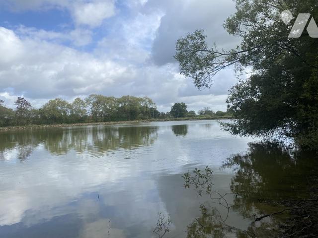 Sale - Land - MONTSURS - 31,582 m² - 72126-3083