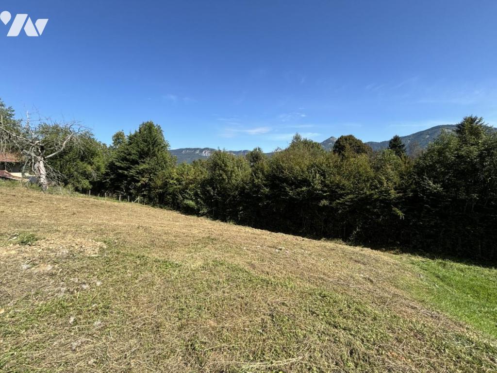 Terrain — Curienne