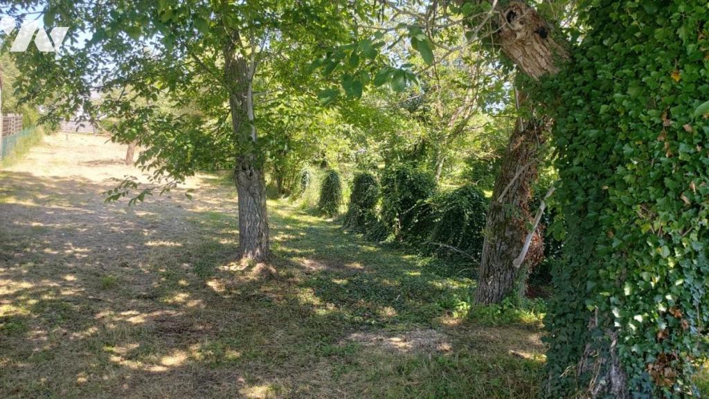 VENTE terrain-DORMELLES (77)