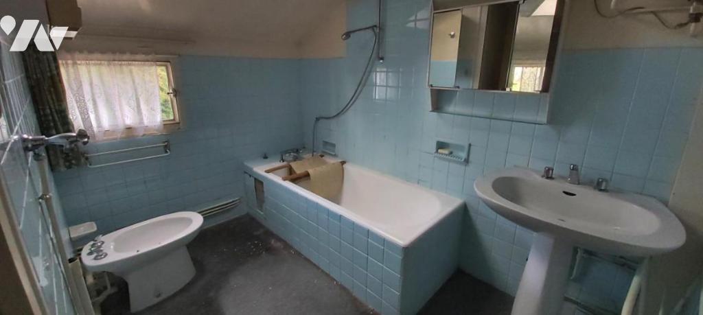 VENTE maison-ST PIERRE LES NEMOURS (77)