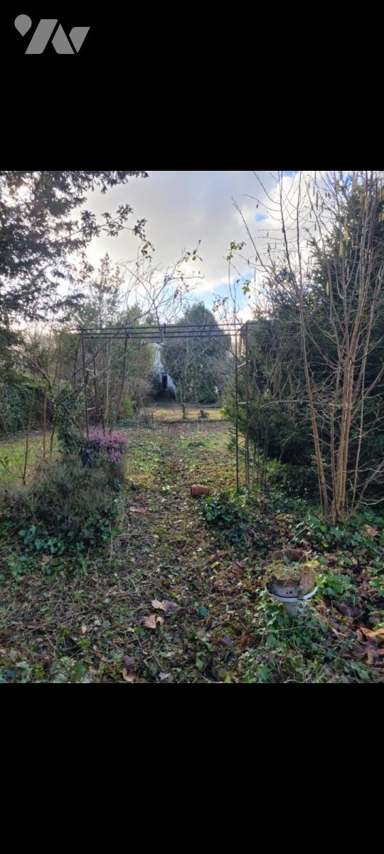 VENTE maison-ST PIERRE LES NEMOURS (77)