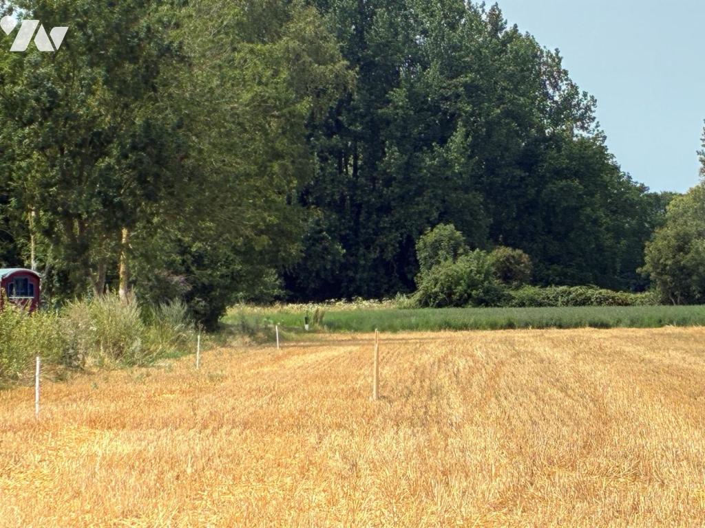 Un terrain à bâtir