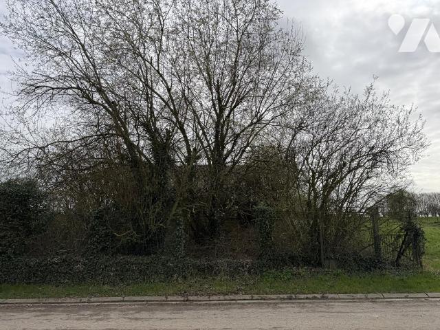 Terrain 1100 m² · à Bus-lès-Artois · 1 100 m² · 22 000 €
