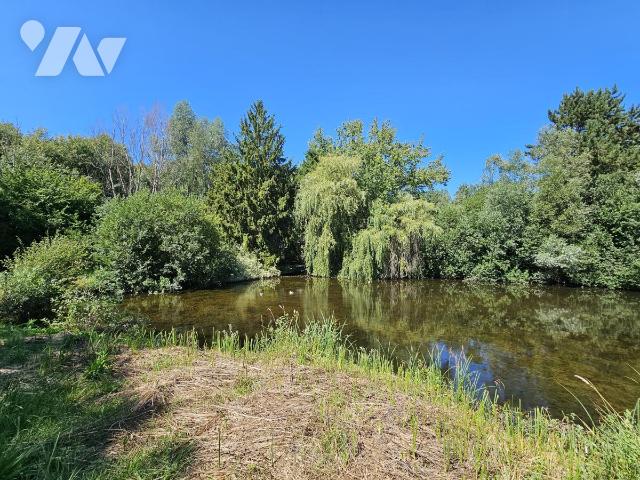 Vente - Terrain - FONTAINE SUR SOMME - 14 803 m² - 80094-1332